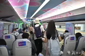 跨城赏樱像坐地铁一样方便  武汉新城快线发送旅客逾10万人次图片