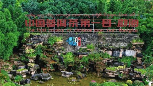 去勐海品茶，这条线路超火
