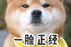 “先用后付”能一键关闭！图片