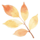 漫步街头巷尾，寻找冀南新区独有的初冬韵味