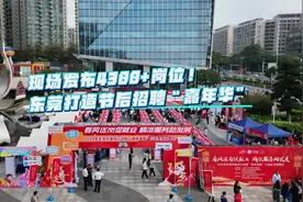 视频｜现场4300+岗位！东莞打造节后招聘“嘉年华”图片