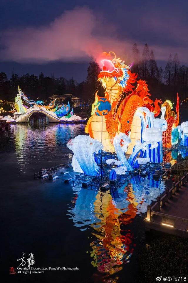 门东新“顶流”！一棵美到让全南京排队围观的树！