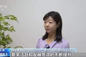 每天揽收约4亿件包裹！中国快递“快”出新速度 “递”出新市场图片