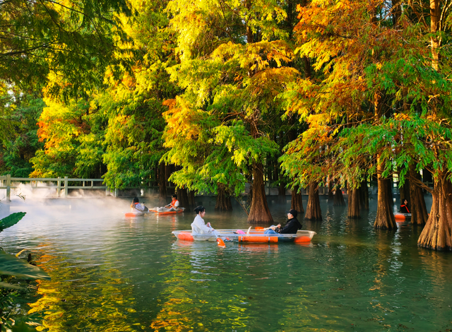 速报！七星岩落羽杉开始变红，快来get秋天的第一张大片
