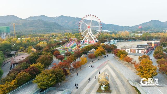 “秋日限定”上线！世博园赏秋正当时