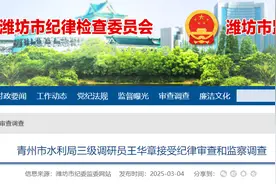 山东1市纪委监委网站通报图片