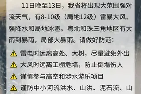 雷雨、8-10级大风来袭肇庆，请注意防御图片