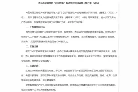 青岛放大招！12条新政力挺房地产，多孩家庭最高可获10万元补贴图片