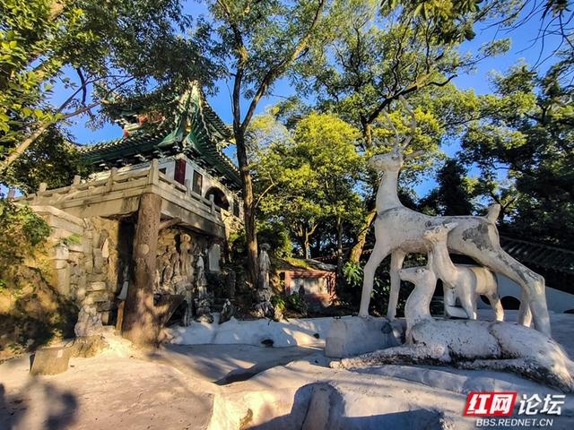 邂逅益阳古十景｜走进“裴亭云树”的诗意时光