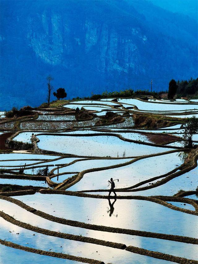 错过等明年，红河冬日“顶流”哈尼梯田上线