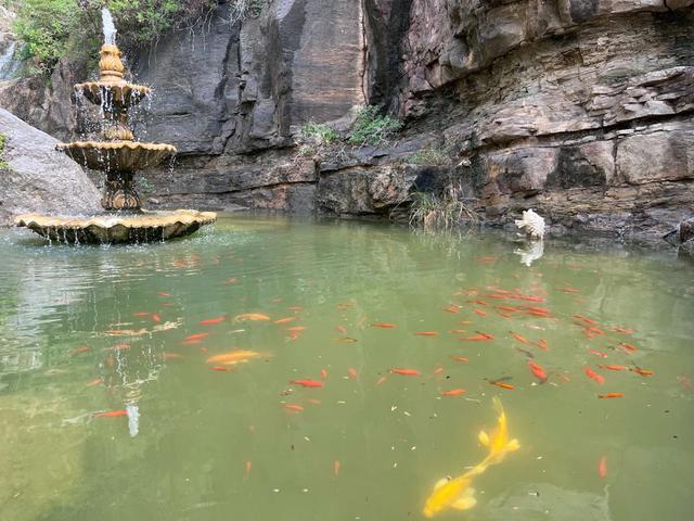 高温来避暑！河南这些景区有免门票等优惠政策