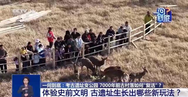 穿越7000年！这座古村落“复活”变身“顶流”公园