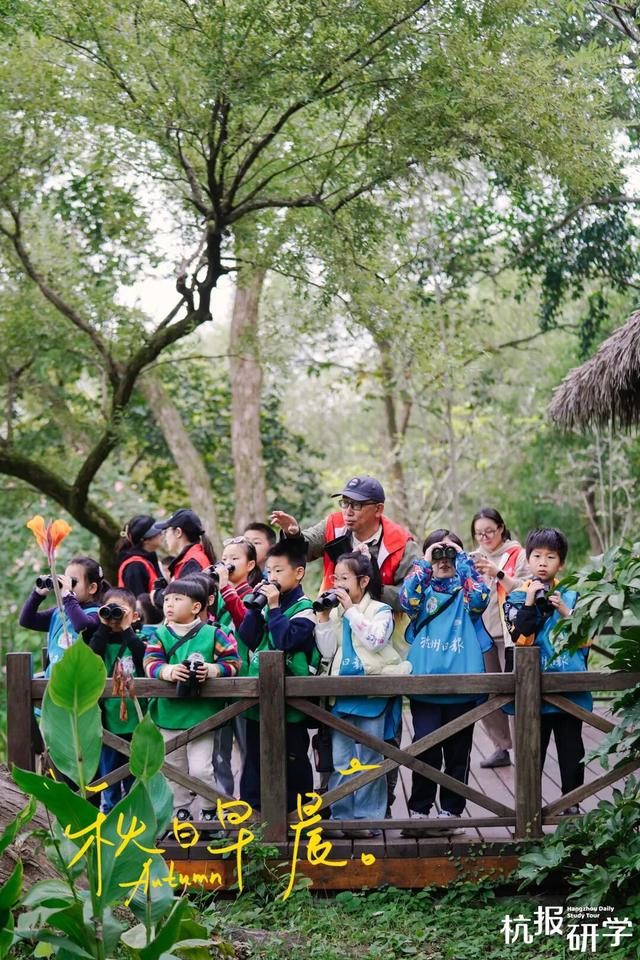 12.07 独立营｜冬日寻羽记：解码西湖候鸟的越冬密码！鸟类专家带队，探秘茅家埠“鸟类天堂”，体验听声辨鸟、飞羽寻踪的野趣周末！