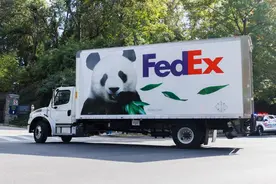 大熊猫“宝力”“青宝”入住美国“新家”图片