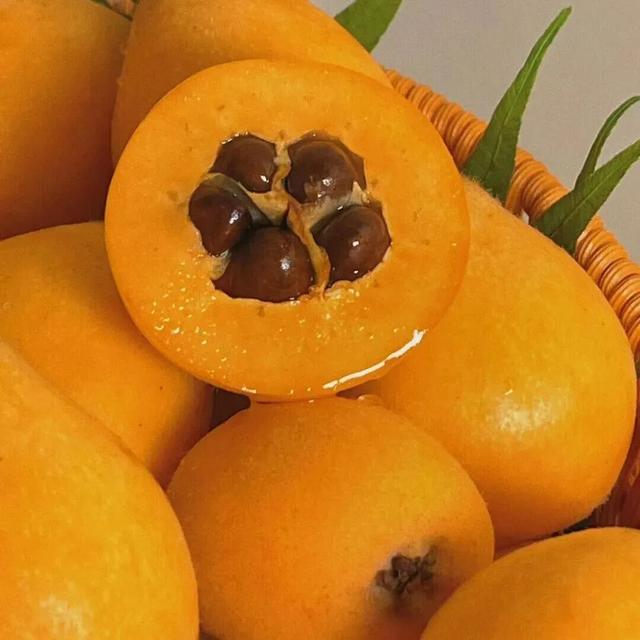 红河人严选！秋天应该这么玩