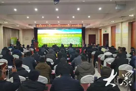 山东省农业科学院举行“玉米大面积丰产协同推进”技术培训会图片