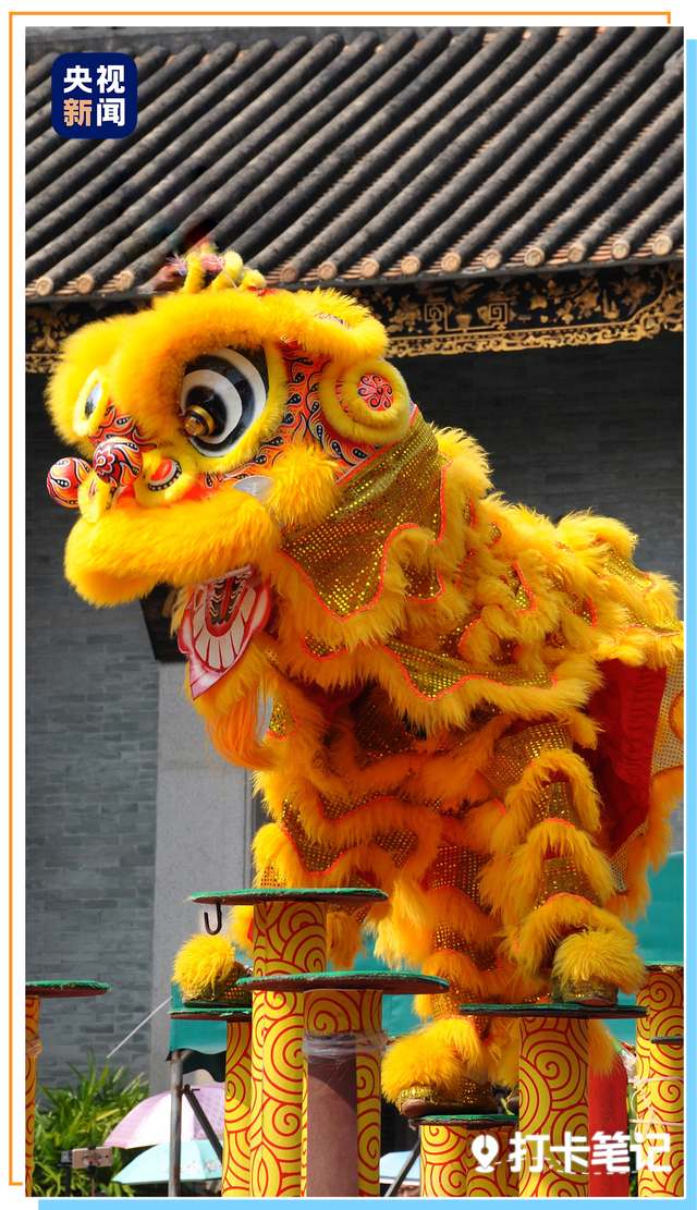 去粤港澳这篇就够了！最新指南→