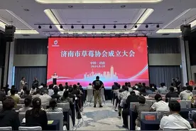 超20亿元/年产业，136家单位抱团！济南市草莓协会成立图片
