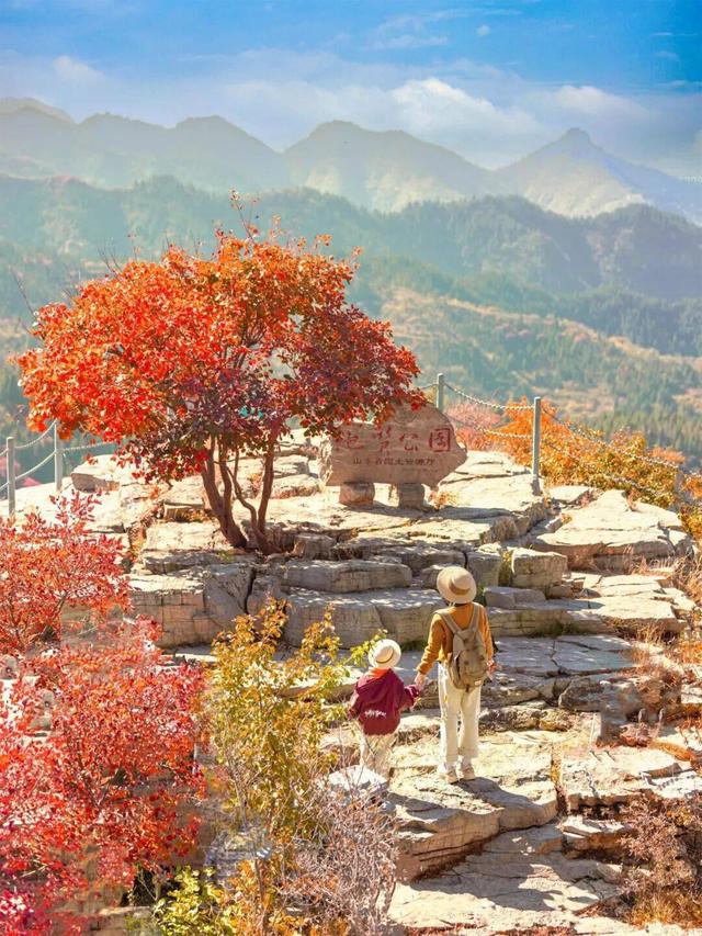 向云端！潭溪山做大“山水度假文章”，打造云端深度体验游
