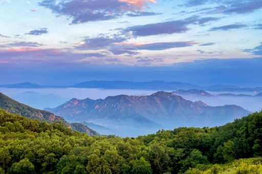 周末京郊微度假 | 这个夏天，文旅北京请你住进“绿野仙踪”