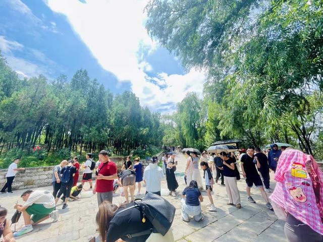 “物理+魔法”硬核降温！双倍清凉，爽感拉满！