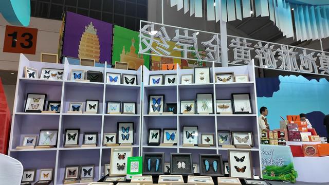 2025创意云南文博会滇池度假区展区：解锁滇池旅游黄金岸线的多元魅力