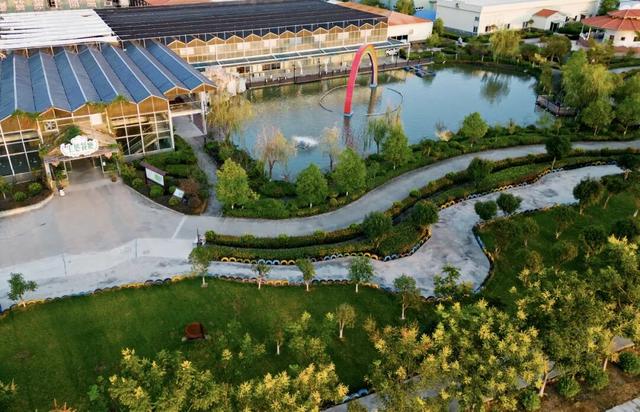 宝藏仙桃，太“鲜”啦！（采风招募）