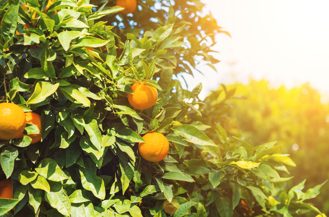 永川“留娃”去处上新→