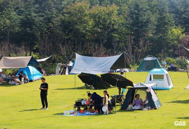 浮山草坪“长”满帐篷，青岛人的国庆浪漫藏在绿意里
