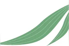 端午假期，沿着7号线相约一场人文之旅~图片