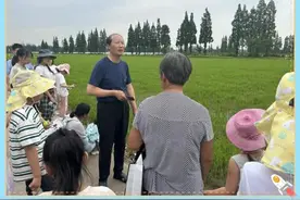 崇明娃在假日学校都学些什么？图片