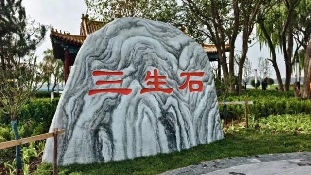 家门口享惬意时光！滨州一小岛对外开放