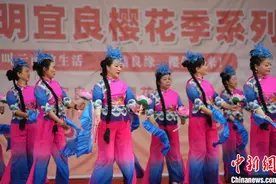 云南宜良4000余亩樱花绽放 邀游客踏春品乡愁图片