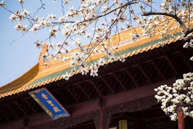 官方推荐16条南京春季亲子研学旅游线路