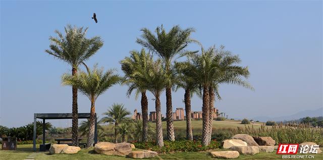 高椅岭作证：这场冬日陪伴，让阳光照进心田