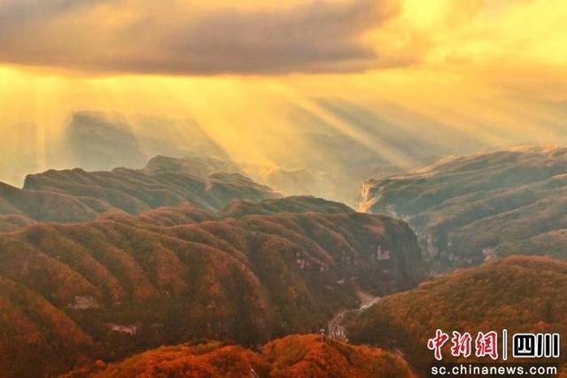 广元旺苍“红叶经济”为文旅产业发展注入持续强劲动力