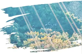 雨林中的“蜘蛛侠” 万家灯火守护人图片