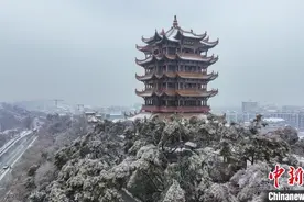 航拍雪中黄鹤楼：银装素裹待春来图片