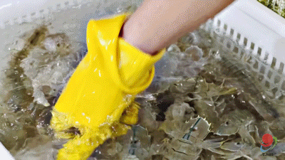 一键解锁湛江海岛天花板！这份官方推荐的「海岛漫游指南」请查收！