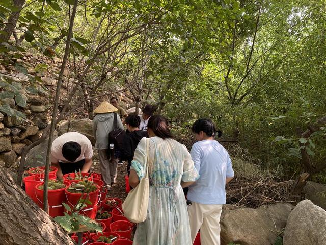 天蒙景区推出金秋板栗节，游客“获得感满满”