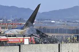 画面公布 韩国客机遭鸟撞瞬间图片