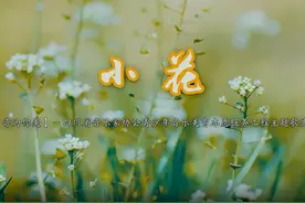 上央视啦！四川原创歌曲《小花》登上央视六一儿童节舞台图片