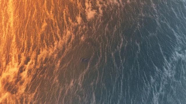 晨雾、金辉、涟漪……在昆明宁湖公园，我找到了治愈浮躁的良方