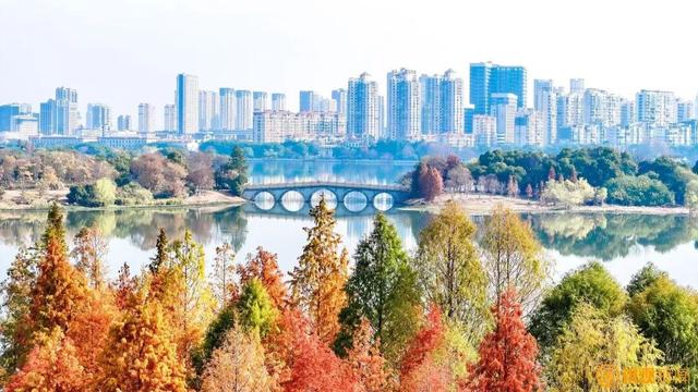 游玩体验升级！南昌象湖景区西入口改造后投用