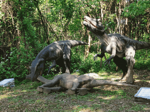 赤黄红·洪湖情 | 2025环洪湖马拉松，跑进水乡新画卷！