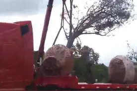 烟台民意通丨跑了3天长途被拖欠6500元运费 货车司机急盼工钱图片