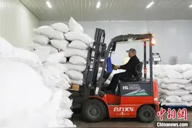 探访广西龙邦口岸：落地加工作业忙 旅检通道开通在即图片