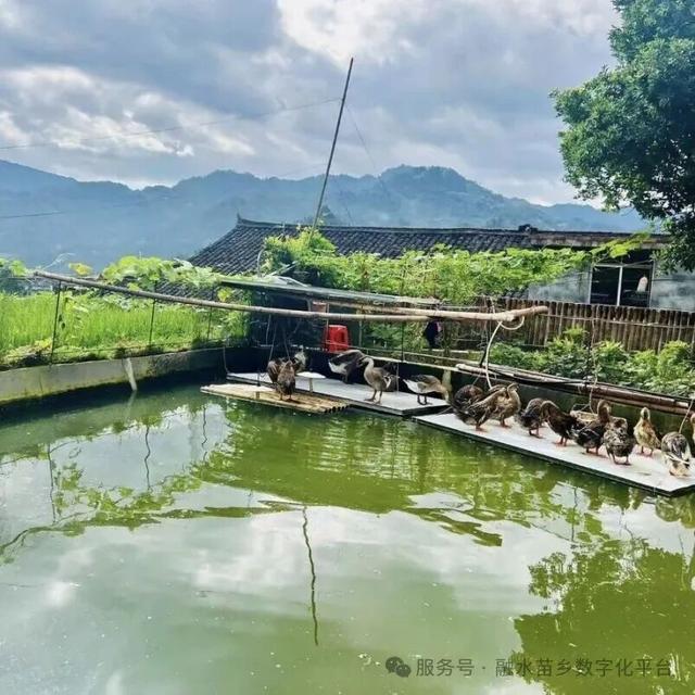 藏在桂北深山里的秘境！杆洞乡三天两夜， 梯田、草原、苗寨旅游打卡