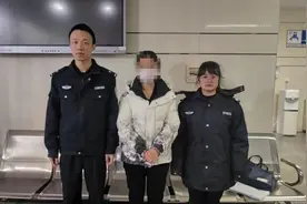 涉嫌非法经营！“水军头目”被刑拘图片