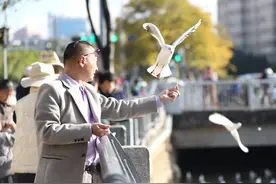 成千上万海鸥盘旋，昆明迎来最佳观鸥季图片